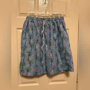 💚Flamingo Swim Trunks